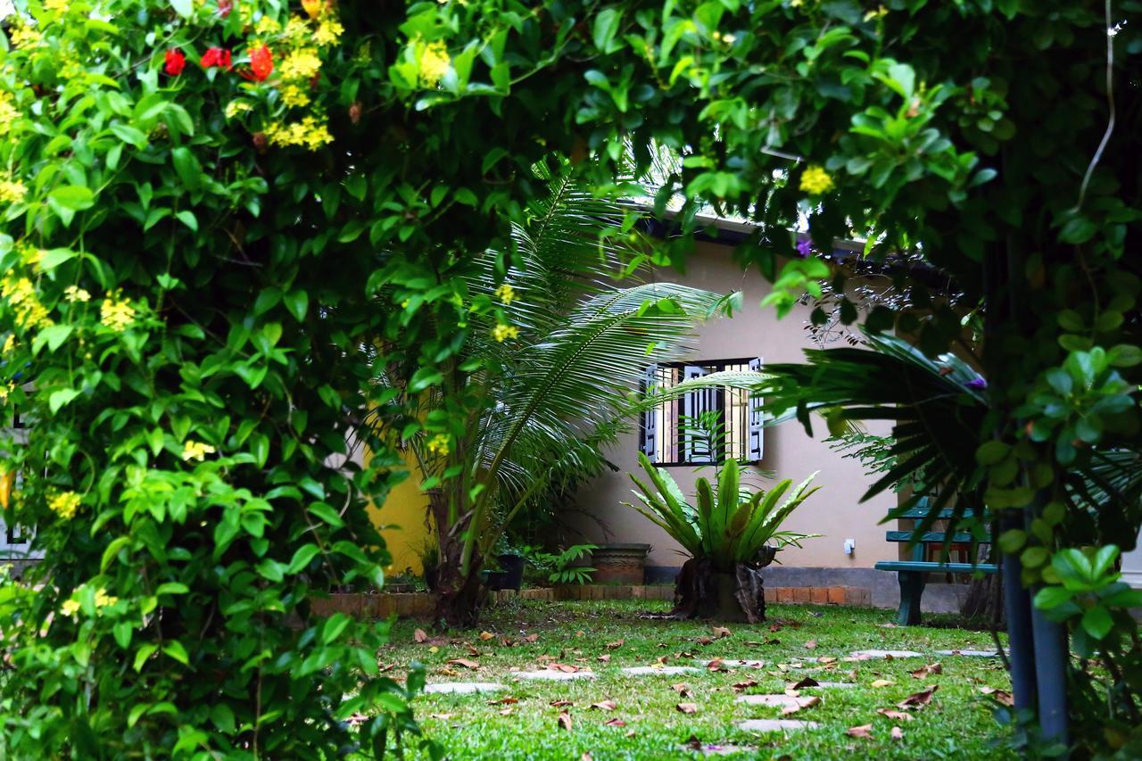 Coconut Villa Midigama East Exteriör bild