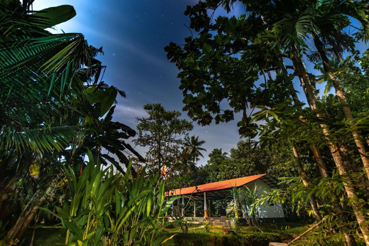Coconut Villa Midigama East Exteriör bild