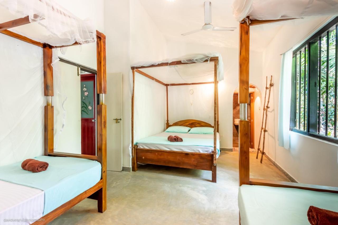 Coconut Villa Midigama East Rum bild