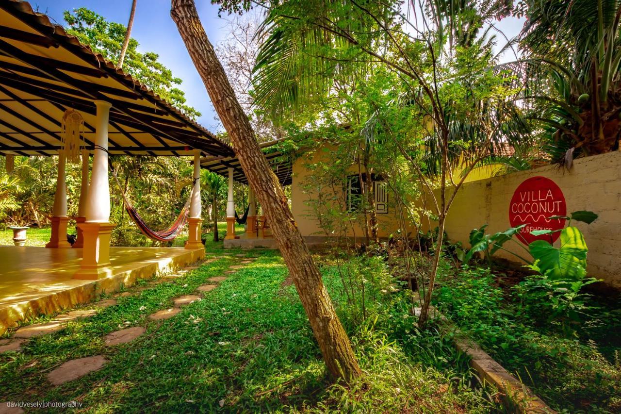 Coconut Villa Midigama East Exteriör bild