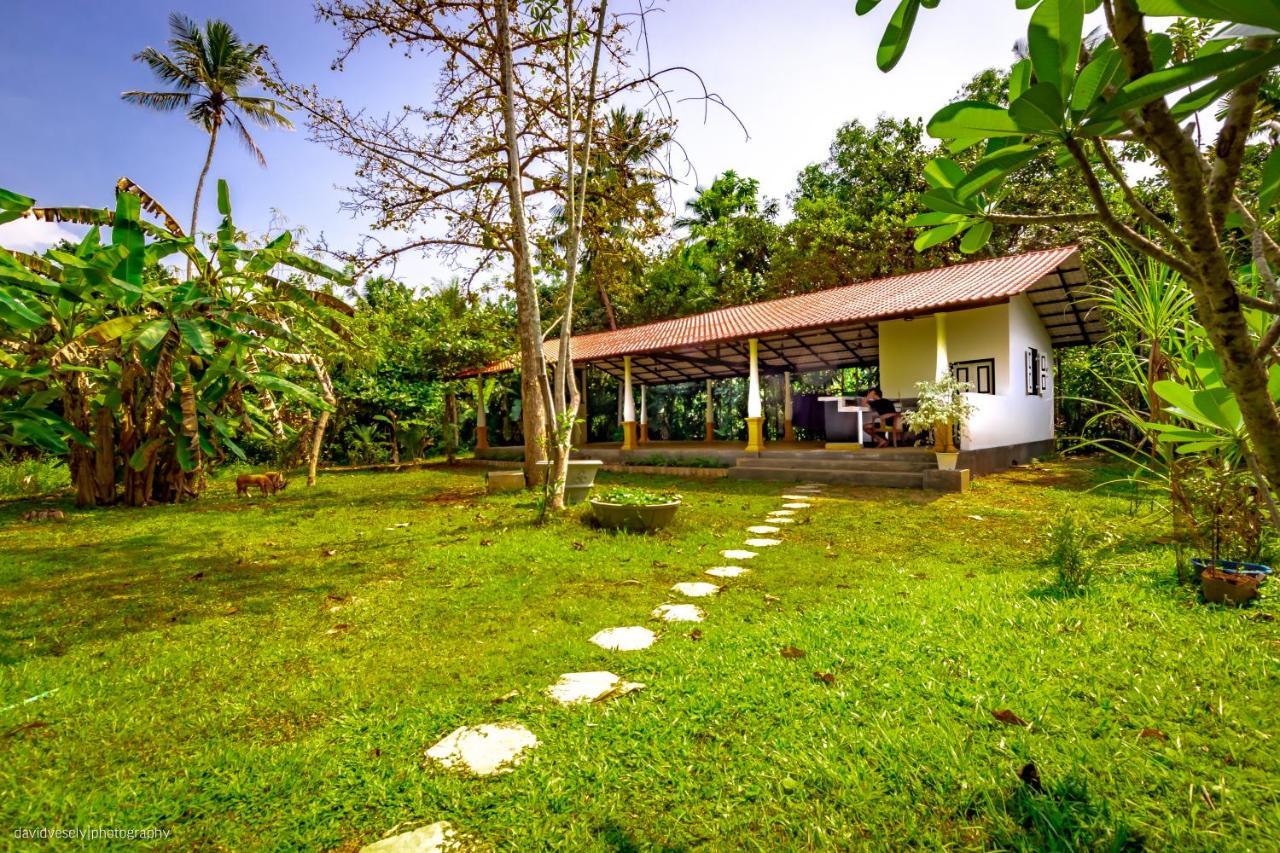 Coconut Villa Midigama East Exteriör bild