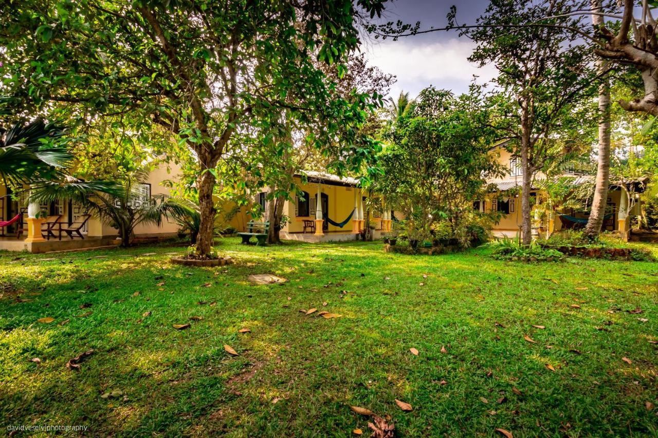 Coconut Villa Midigama East Exteriör bild